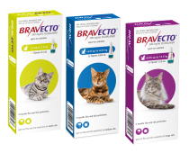 Bravecto cats store