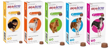 BRAVECTO® CHEW - MSD Animal Health New Zealand