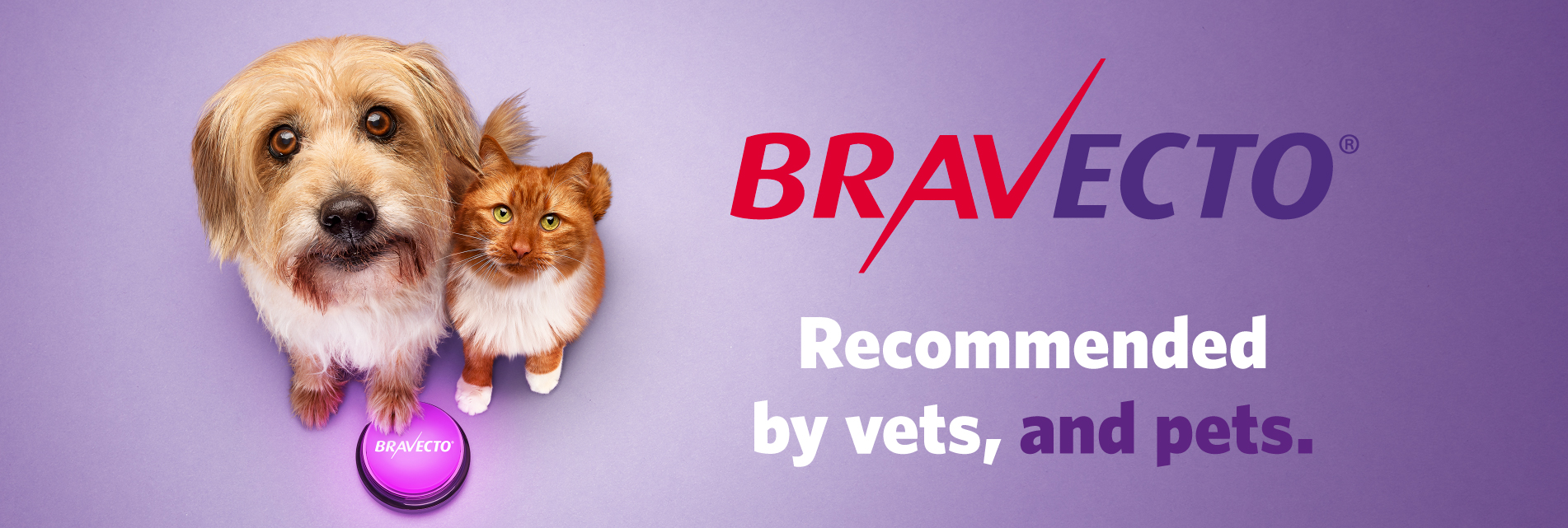 BRAVECTO® - MSD Animal Health New Zealand